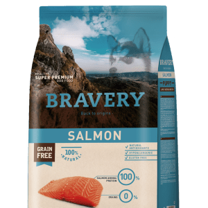 Bravery puppy salmon